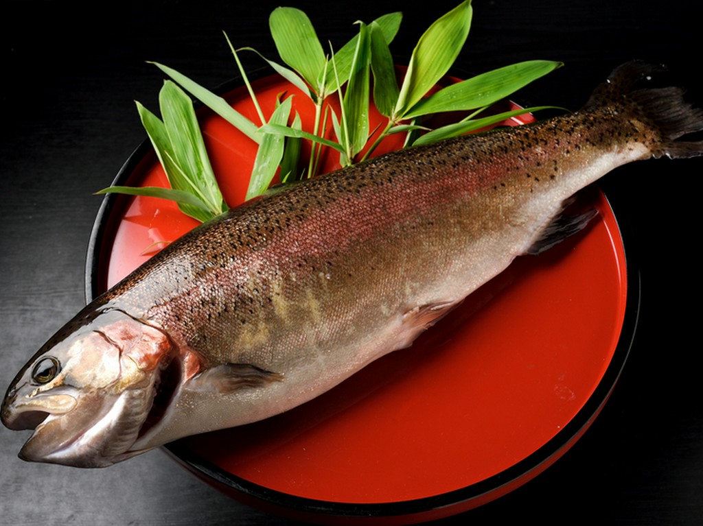 揖斐川サーモン