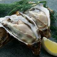 牡蠣は「日本牡蠣センター」から身の入りが適度で、安心かつ上質なものだけを厳選して仕入れ。画像は北海道・仙鳳趾の牡蠣で、生ならではの瑞々しい食感と濃厚な旨みと甘みを楽しめます。『蒸し牡蠣』にもできます。