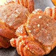 300gから1kg以上の毛蟹を、いけすから出して調理する『活毛蟹』。産地は稚内、根室など時期によって 替わるものの、いつでも旬の味が楽しめます。600g以上のものは足を刺身やしゃぶしゃぶにすることも可能です。