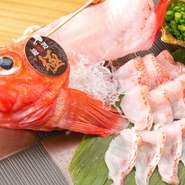流氷の時期以外は“網走産 一本釣り活〆キンキ”にこだわって仕入れています。船で釣り、すぐに活締めするので傷がなく刺身でも食べられるためです。仕入れがある時は 『キンキのしゃぶしゃぶ』にも使用します。 
