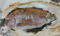 鯛を一尾丸ごと塩で包み、ゆっくりとオーブンで焼き上げた一品。旨味を中に閉じ込めた鯛の身は柔らかくふっくらとして最高の焼き魚に仕上がります。
お祝いの席などにいかがですか？