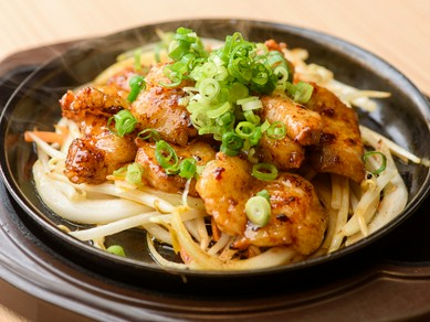 石川県の鉄板焼きがおすすめのグルメ人気店 ヒトサラ