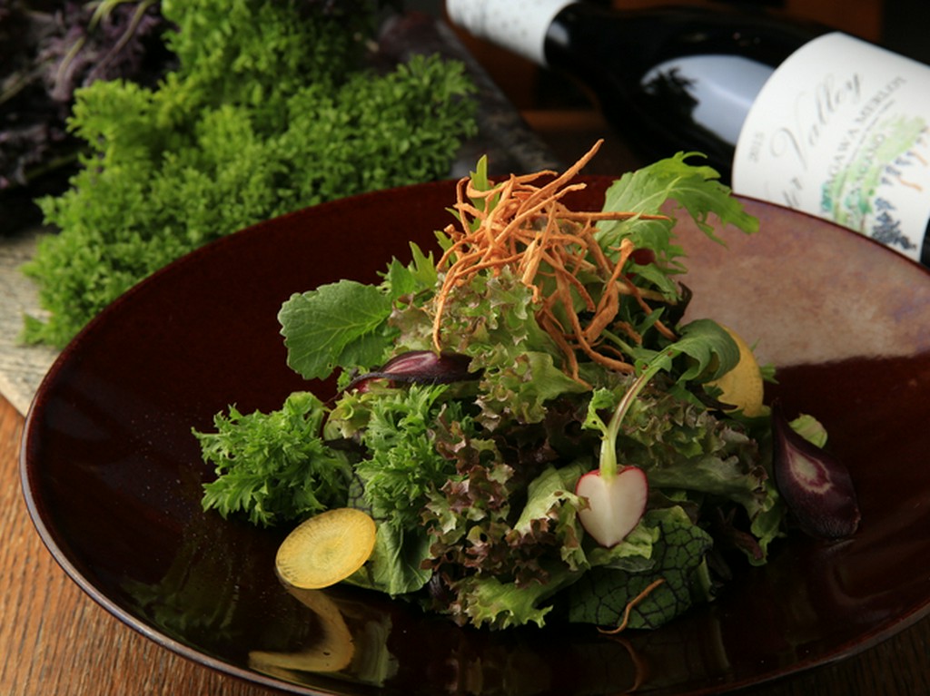 13～15種類の野菜がたっぷり。野菜の味の濃さに驚くこと必至の『長野の農家さんのオーガニックサラダ』