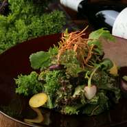 店の野菜は、長野県遠見市の「アグロノーム」、茅野市の「ポニーハウスサラダガーデン」から直送されたオーガニック野菜が中心。野菜の濃厚な味を引き立てる、ワインビネガーベースのドレッシングも自家製です。