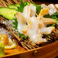 漁師さんから直接仕入れる白バイ貝（エッチュウバイ）はなかなかないカゴ漁で水揚げされたもの。通常煮付けで食べることが多い貝ですが、底引きと違い身がしっかりとして甘みがあるので刺身で食べられます。