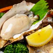 旬によって仕入れる産地が変わるカキは定番メニューの一つ。汽水湖で栄養をたっぷり蓄えた北海道・厚岸のカキや播磨灘のカキ、岩ガキなど旨みの濃厚な味を楽しめます。