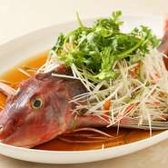 『本日の白身魚潮州風蒸し』は、コースの中のひと品。活魚を蒸し、薬味をのせて贅沢に味わう一品はゲストに合わせて調理のアレンジも可能。臨機応変な対応がうれしい限りです。