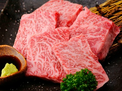 大阪府で家族の食事に使えるお店 焼肉 ステーキ ヒトサラ