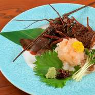 活伊勢海老の甘さとトロリとした食感が堪能できる看板メニュー。伊勢海老料理はお造りのほか、塩焼きや具足煮、塩茹で、黄金焼き、バター焼き、姿焼きなど、豊富な種類の中から選べます。