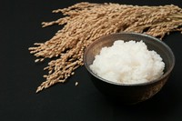 滋賀県産
お水の美味しい滋賀県のお米は、近江うしとも相性は勿論、最高です。
大盛や少な目も出来ます。お声がけ下さいませ。