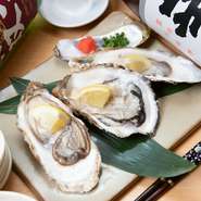各産地から届いた新鮮な「牡蠣」を生で召し上がれ。プリップリの食感とミルキーな味わいがクセになりそう。