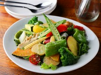 契約農家より入荷する無農薬野菜をたっぷりと。『20種彩り野菜のサラダ 』  　