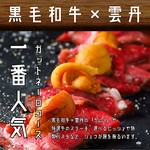 ガットネーロコース