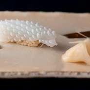 呼子産のヤリイカを松笠づくりにし、キレのよい食感に。赤酢を程好くきかせたシャリとの一体感も抜群で、口の中でほどけるおいしさは、まさに鮨の真髄。岩塩と旬の柑橘でいただく趣向も粋！　おまかせコースの一貫。