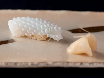 赤酢をきかせたシャリとの一体感を堪能する『イカの握り』