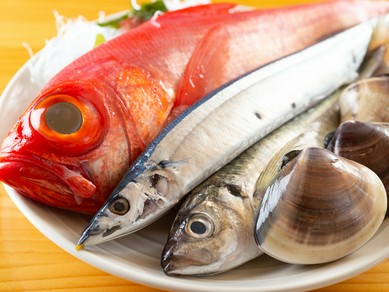 日替わりのお刺身