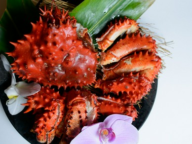 デートにおすすめ