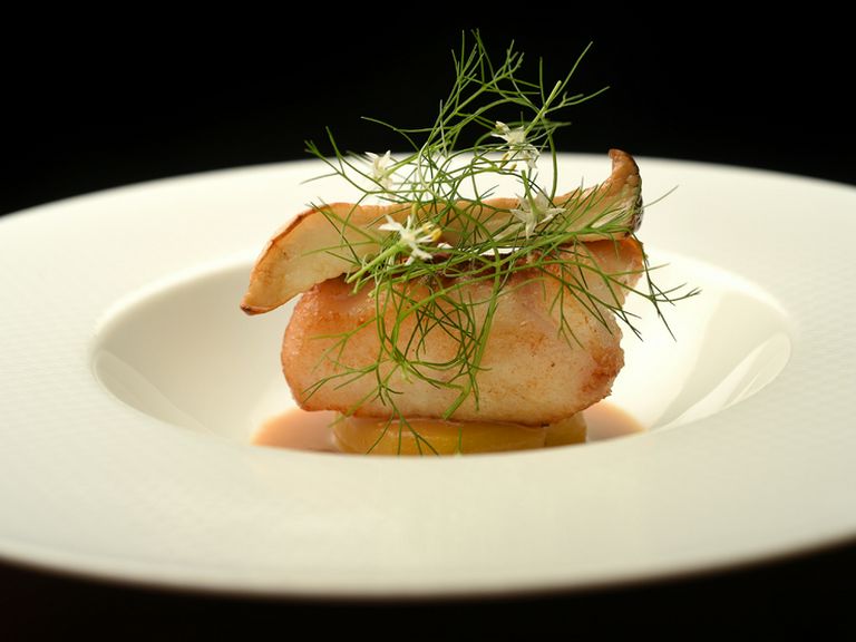 季節の魚介の一皿