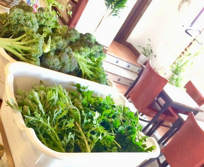 食材にこだわっている