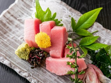 鮪中トロ