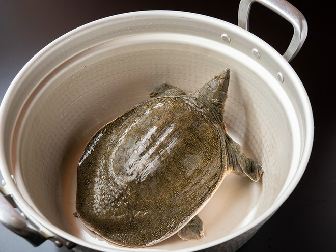 鍋料理にこだわっている