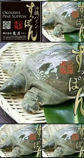 ブランドすっぽん『沖縄パインすっぽん』とは