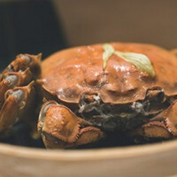 蟹王府OMAKASEメニュー

35,000円(税込) / 10品