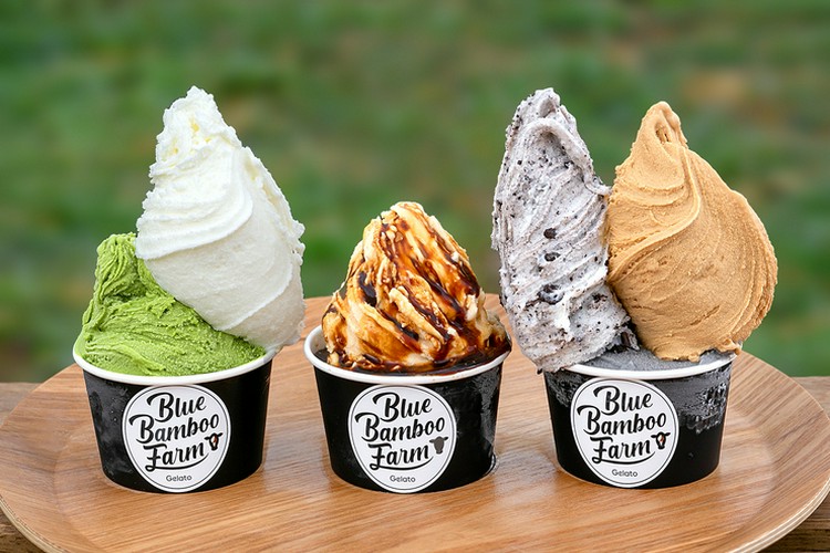 Blue Bamboo Farm Gelato&Cafe 熊谷/行田/スイーツ | ヒトサラ