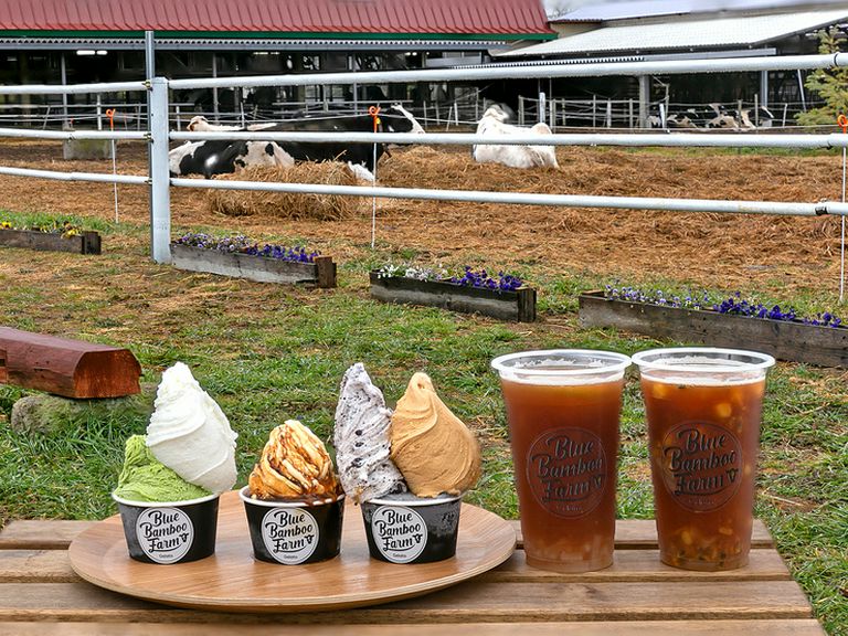 牛たちの姿にキッズも大満足！楽しいイベントも見逃せない