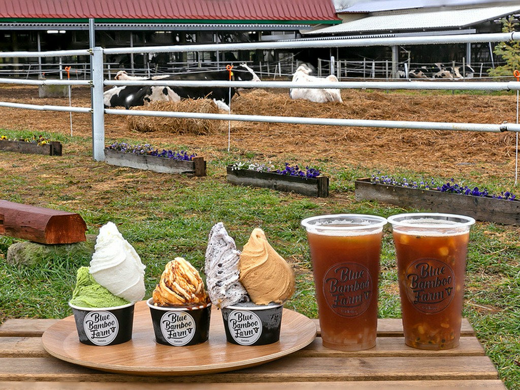 牛たちの姿にキッズも大満足！楽しいイベントも見逃せない