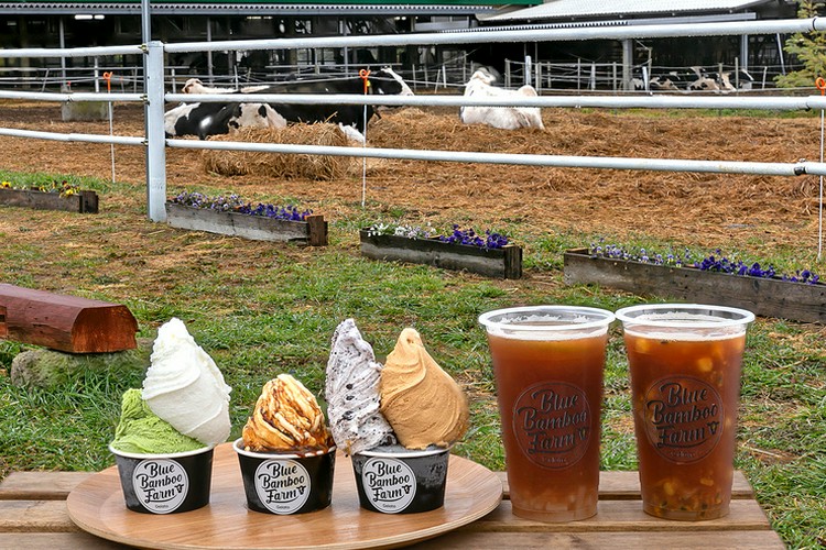 Blue Bamboo Farm Gelato&Cafe 熊谷/行田/スイーツ | ヒトサラ