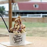 搾りたての生乳に国産きなこと黒蜜を練り込み、風味豊かな和風ジェラートに。仕上げにたっぷりかけられるあとがけ黒蜜がうれしい一品。濃厚な黒蜜ときなこの風味が、濃厚な生乳ジェラートと絶妙に溶け合います。