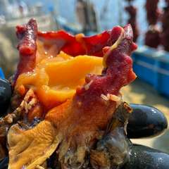 宮城県の宝「ほや」のいろいろな料理が楽しめる。