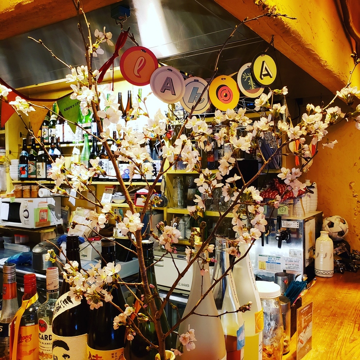 呑めるタイ料理屋ラコタ 吉祥寺 タイ ベトナム料理 ヒトサラ