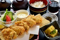 カキフライ（３ヶ）/刺身盛り/茶碗蒸し/サラダ/ご飯/赤だし/漬物