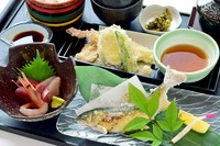 ・福井県吟醸牛の陶板焼き・焼き魚・季節の料理・お刺身盛合せ・海老と野菜の天ぷら・野菜サラダ・茶碗蒸し・ご飯・赤だし・漬物・デザート

