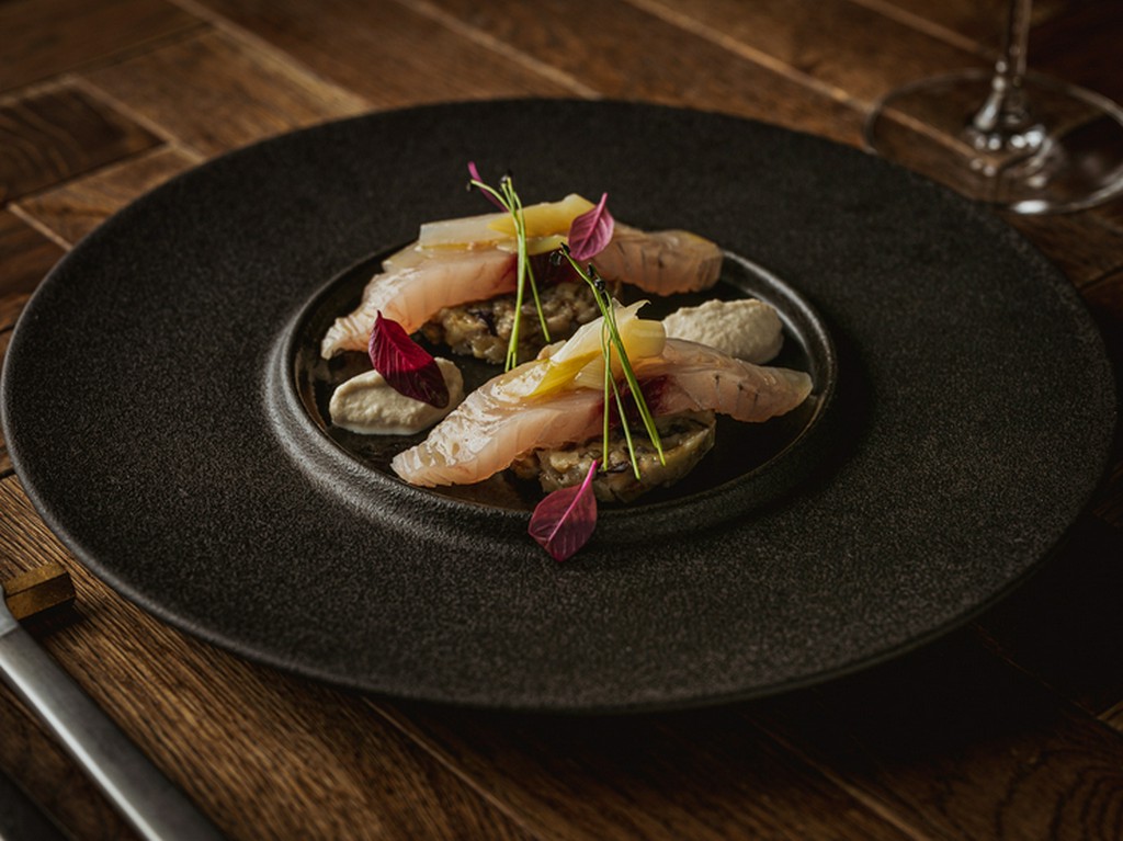 島根の鮮魚の一皿