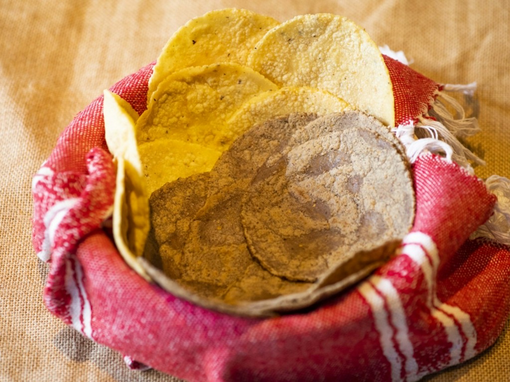 自家製トルティーヤ