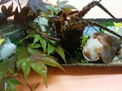 伊勢海老（淡路島由良港自慢の海の幸）