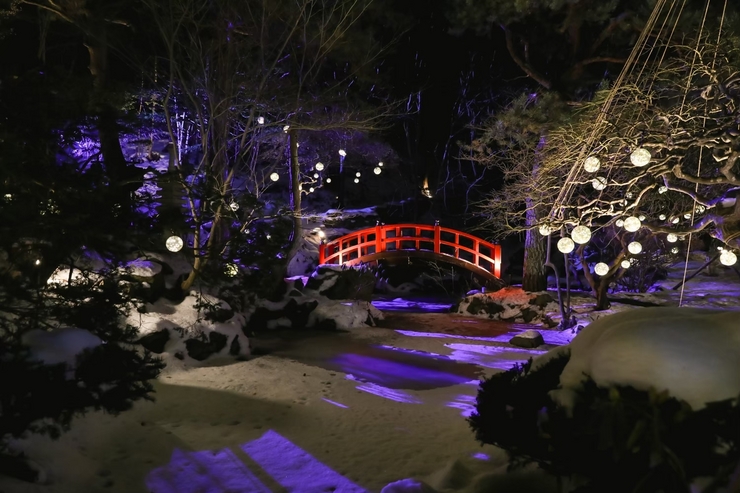 밤의 크리스마스 회석 25000엔