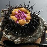 初夏を迎える頃にメニューとして登場する【まんぷく】の風物詩です。今回はキタムラサキウニ。活の状態から捌き、殻も器として使うダイナミックなスタイルで、前菜やお造りとして呈されます。