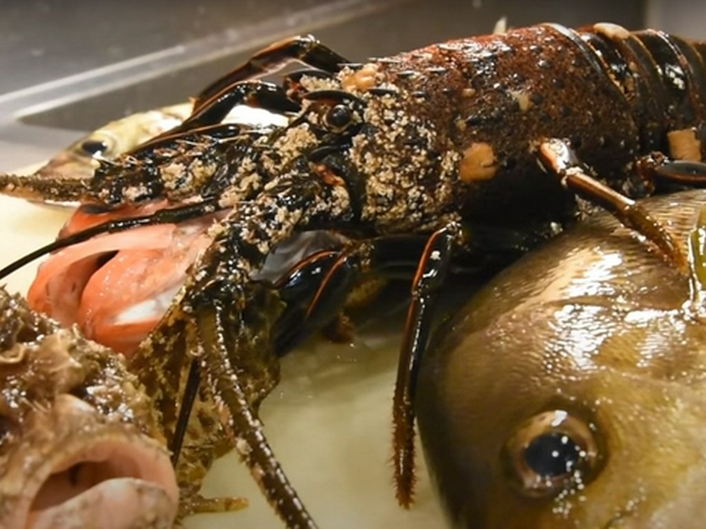 季節限定物も多数取り揃えております。