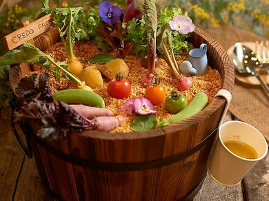 『収穫』神戸野菜のバーニャカウダ