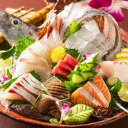 まずは旬の鮮魚の造里で美味しさを味わって！毎朝、料理長自ら目利きして仕入れる魚！旬の美味しさを味わって頂けるようにご用意しております。