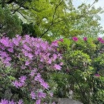 旬の桜海老、旨みあふれる黒毛和牛、鰆を贅沢に味わう宴会コースです。嬉しい2時間飲み放題付！