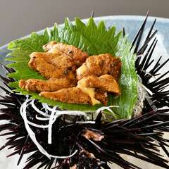 活、殻付きウニ