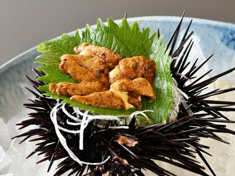 活、殻付きウニ