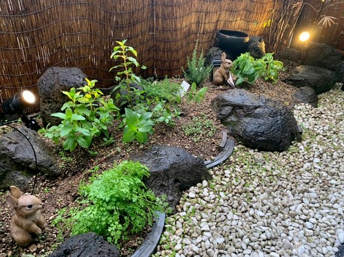 美しい庭園付きの完全個室。