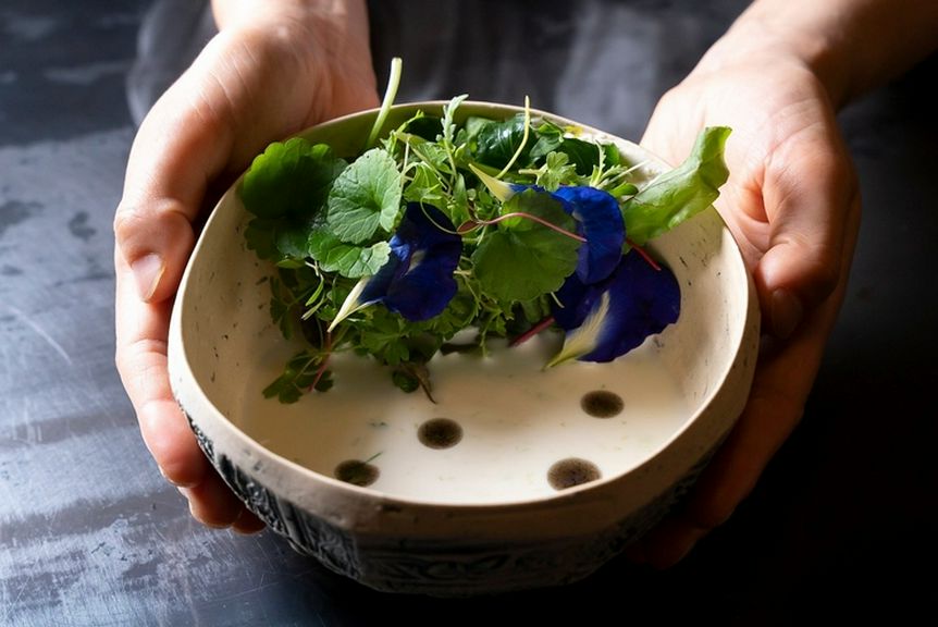 料理1