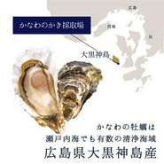 瀬戸内海屈指のきれいな海域で育てている「かなわの牡蠣」一度食べたら忘れられない美味しさです